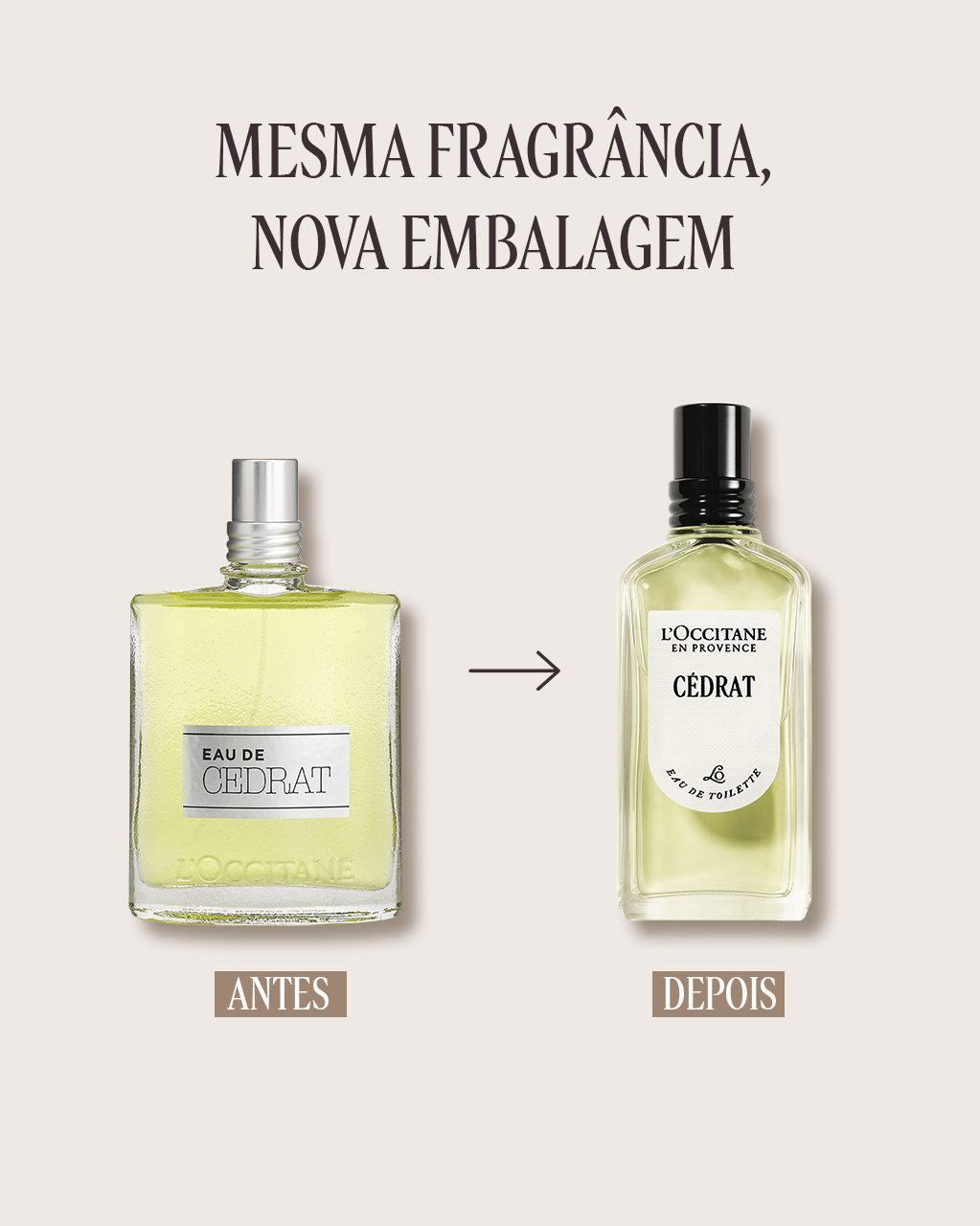 Eau de Toilette Cédrat 50mL | L'Occitane en Provence